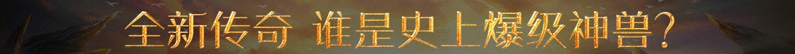 金乡县新闻网